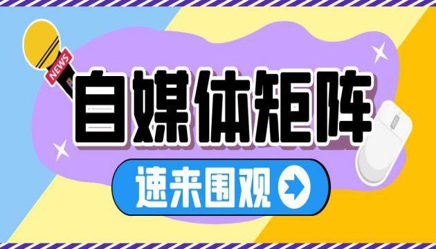 软件是一种什么产品_isearch是什么软件_软件是指什么