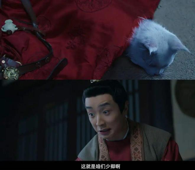 变态王子和不会笑的猫图片_变态王子不笑猫_变态王子和不笑猫