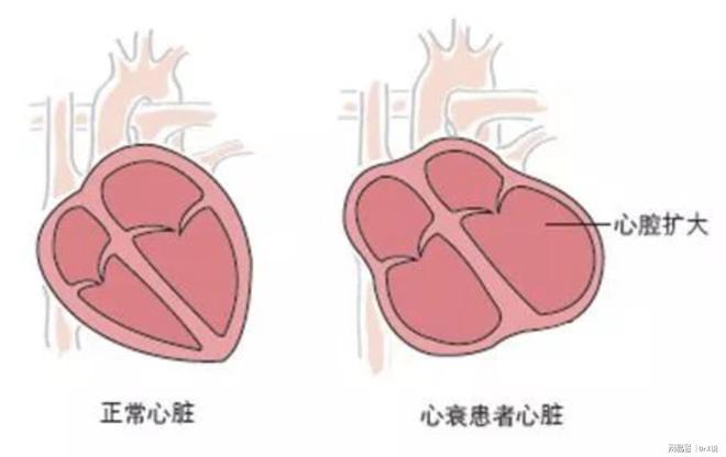 血氧仪上面两个数值-血氧仪解密：95%以上才安心？心脏跳动速率揭秘