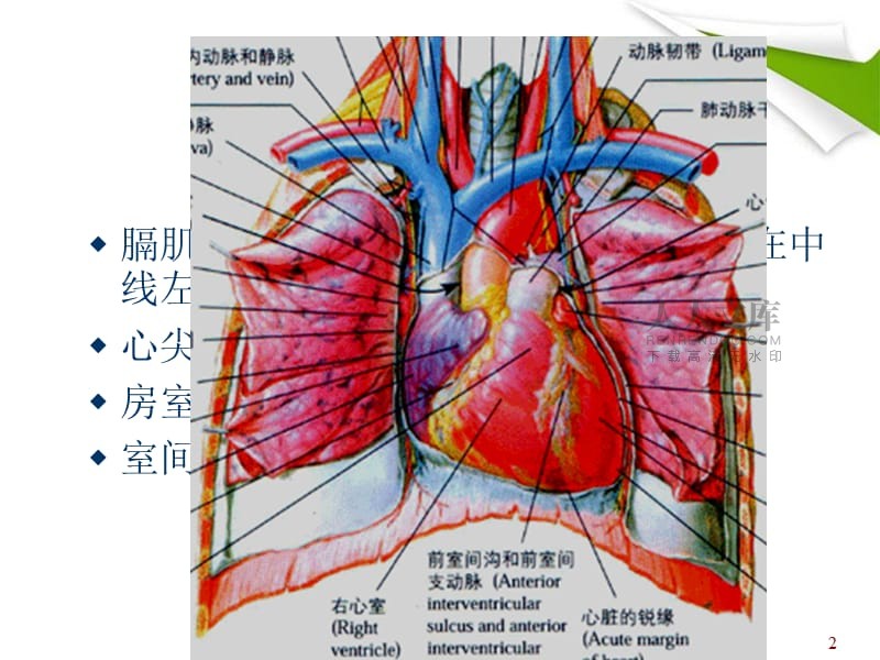 血氧仪器上的两个指数_血氧仪上面两个数值_仪器上血氧度是什么标识