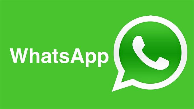 whatsapp官方正版_正版官方天气预报下载_正版官方的浙江风采网