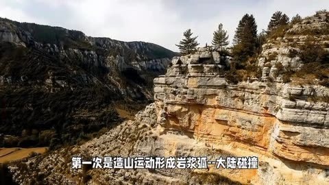 百度网盘论坛：互联网世界的知识海洋与才华展示平台