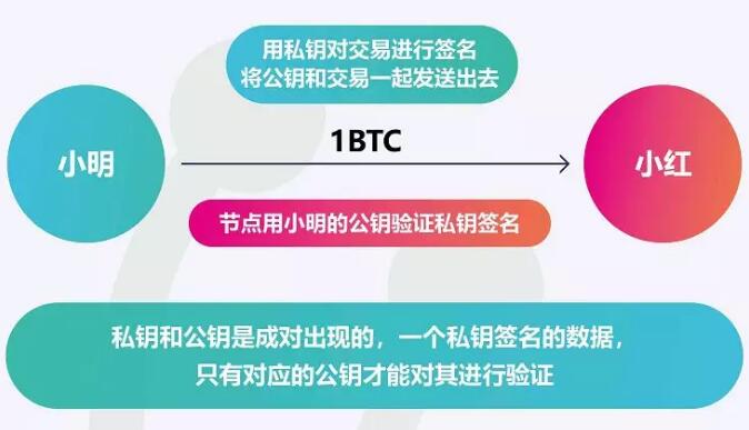 tp钱包私钥被盗权限被改怎么办-TP钱包私钥被盗事件揭示了权限保护的重要性，小心