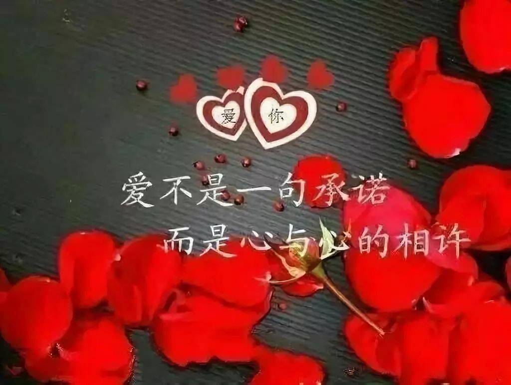 抖音标题最能打动人心的句子_抖音标题最能打动人心的句子_抖音标题最能打动人心的句子