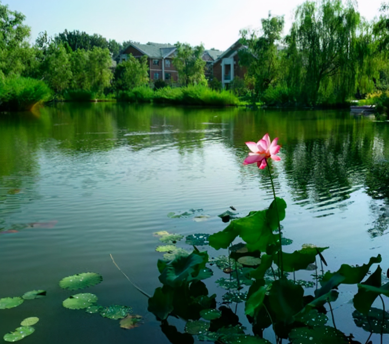 苹果怎么连拍_连拍苹果怎么关_连拍苹果14