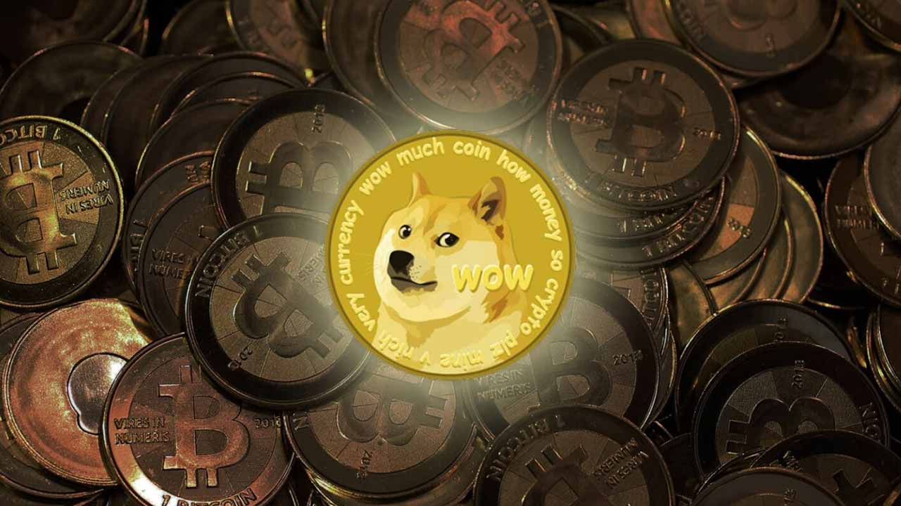 dogecoin官网_tp钱包 dogecoin_钱包怎么折