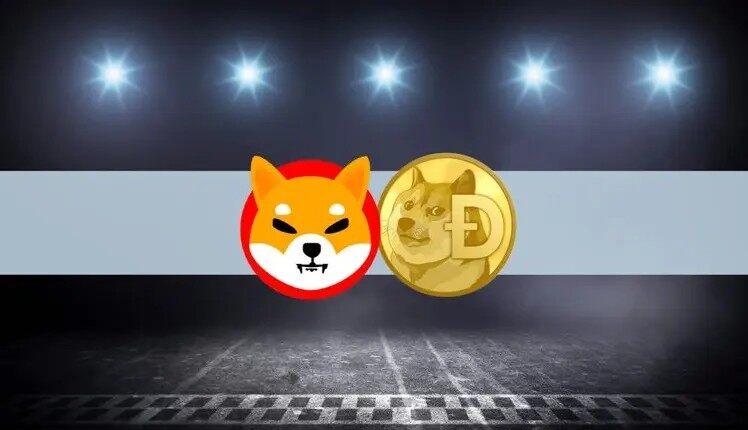 狗狗币钱包安装教程_tp钱包 狗狗币_狗狗币钱包dogecoin