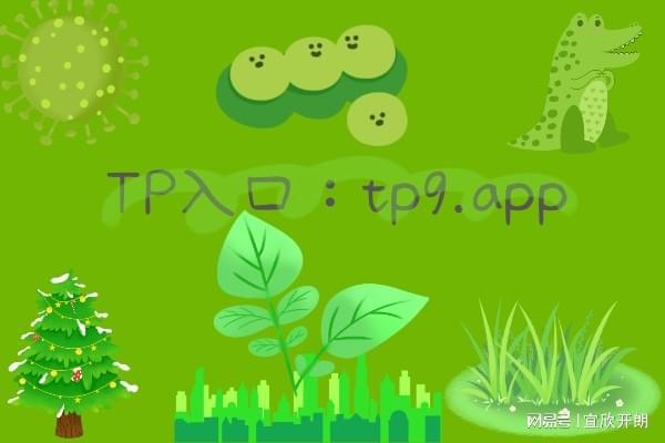 tp钱包有风险吗-TP 钱包靠谱吗？安全性、客服与诈骗信息成焦点