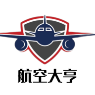 航空大亨2online