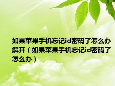 苹果id手机号码邮箱是什么_苹果id是邮箱还是手机号码_苹果手机id邮箱是什么