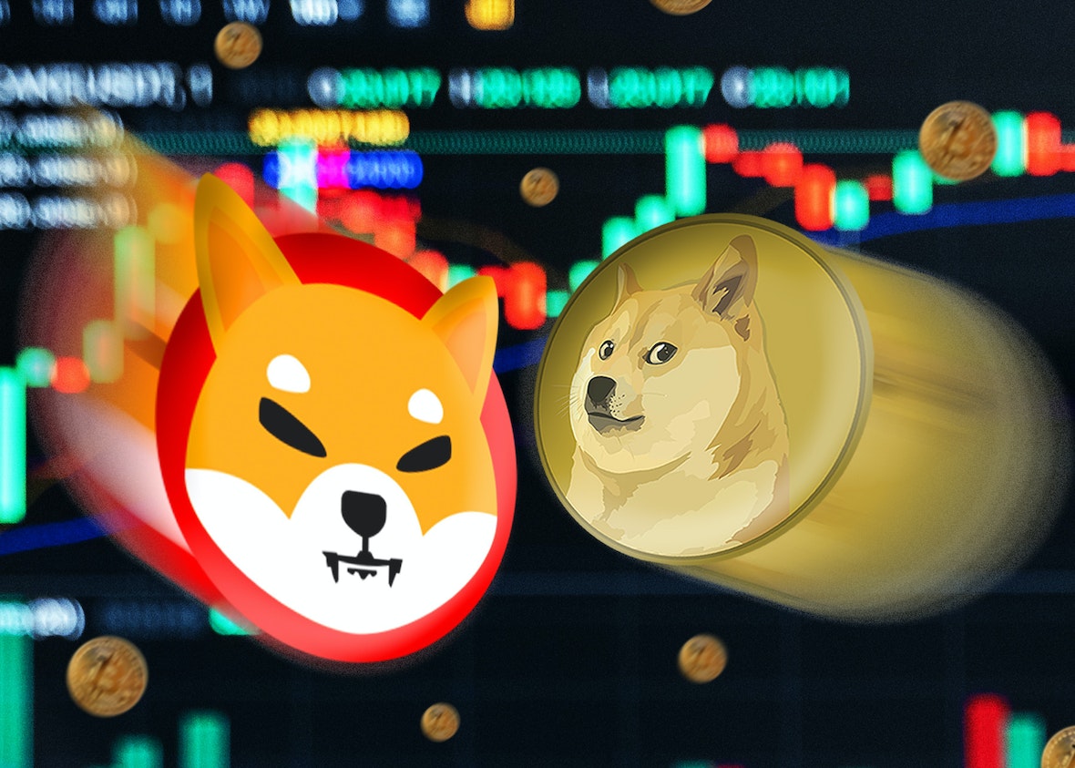 狗狗币钱包安装教程_tp钱包怎么存狗狗币_狗狗币钱包dogecoin