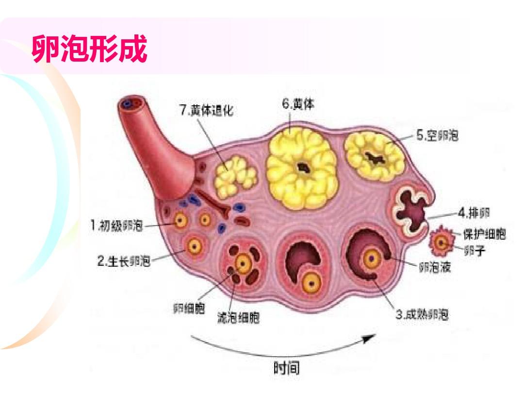 安诺手机_深圳安诺软件有限公司_安诺保app下载