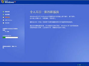 重装系统windows xp,轻松恢复系统稳定