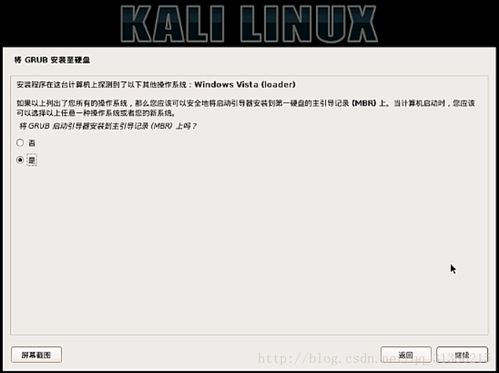 windows kali双系统,Windows与Kali Linux双系统安装与