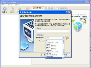 windows与linux双系统安装