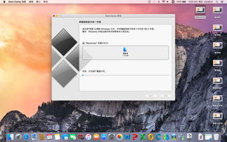 mac系统 windows系统